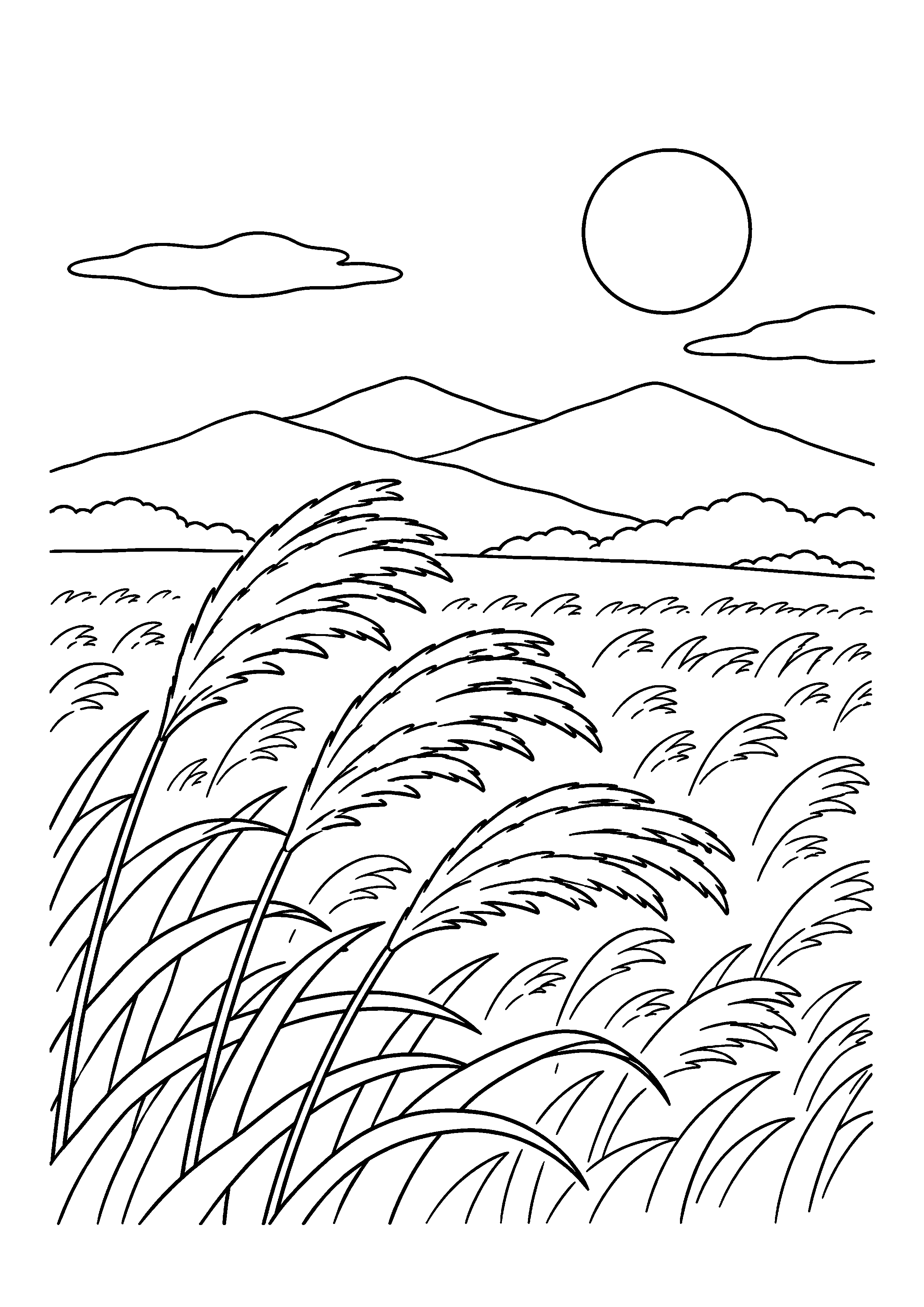 【11月】ススキ野原の塗り絵
