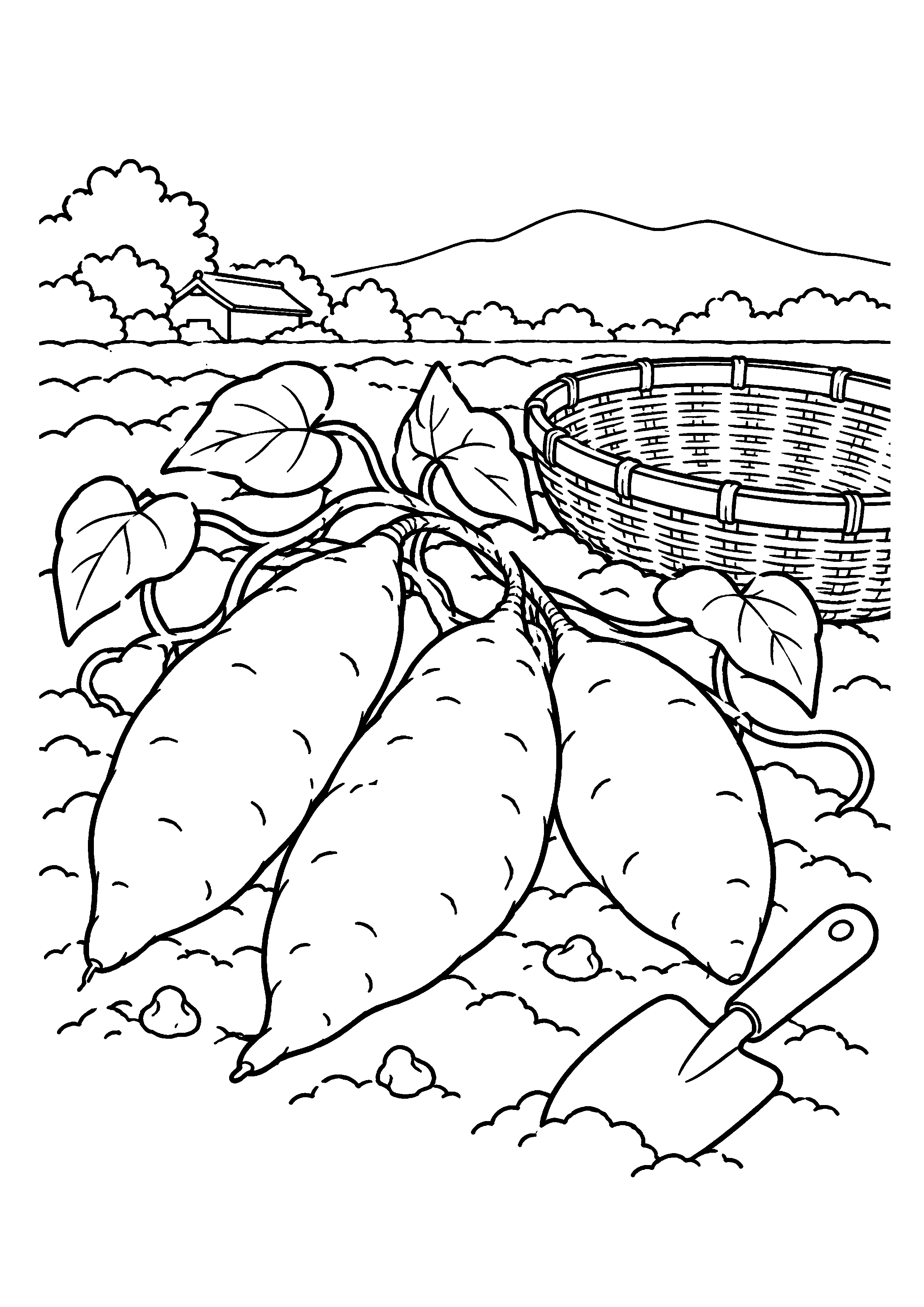 畑の畝から掘り出した大きなさつまいも三本と蔓、移植ごて、竹籠を描いた高齢者向け11月の白黒塗り絵