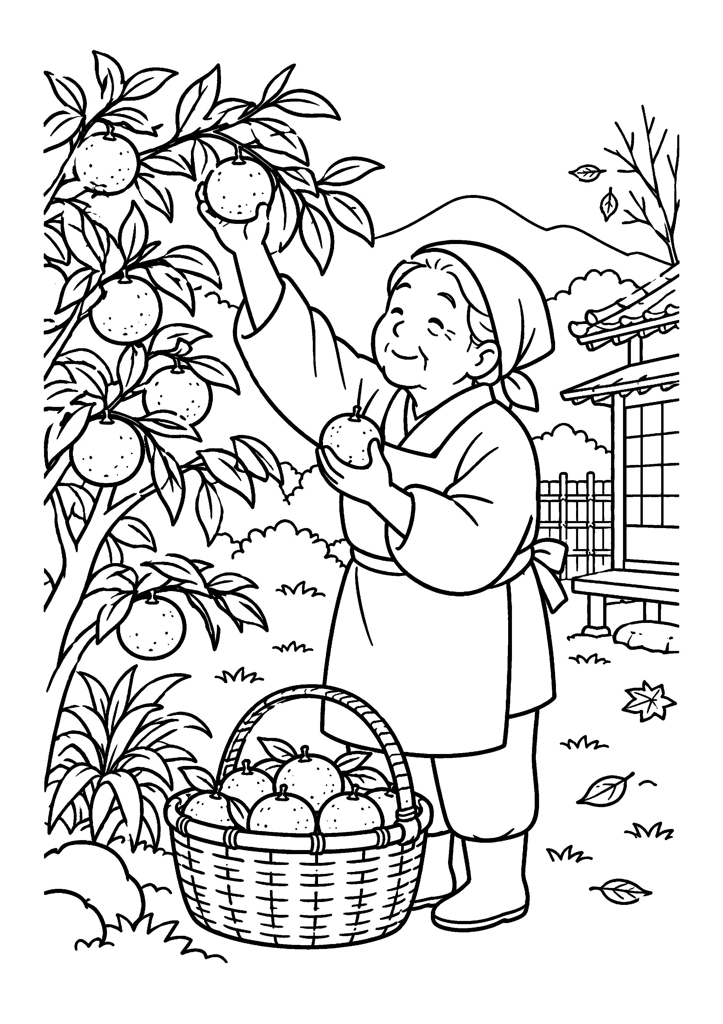 【１１月】柚子の収穫の塗り絵
