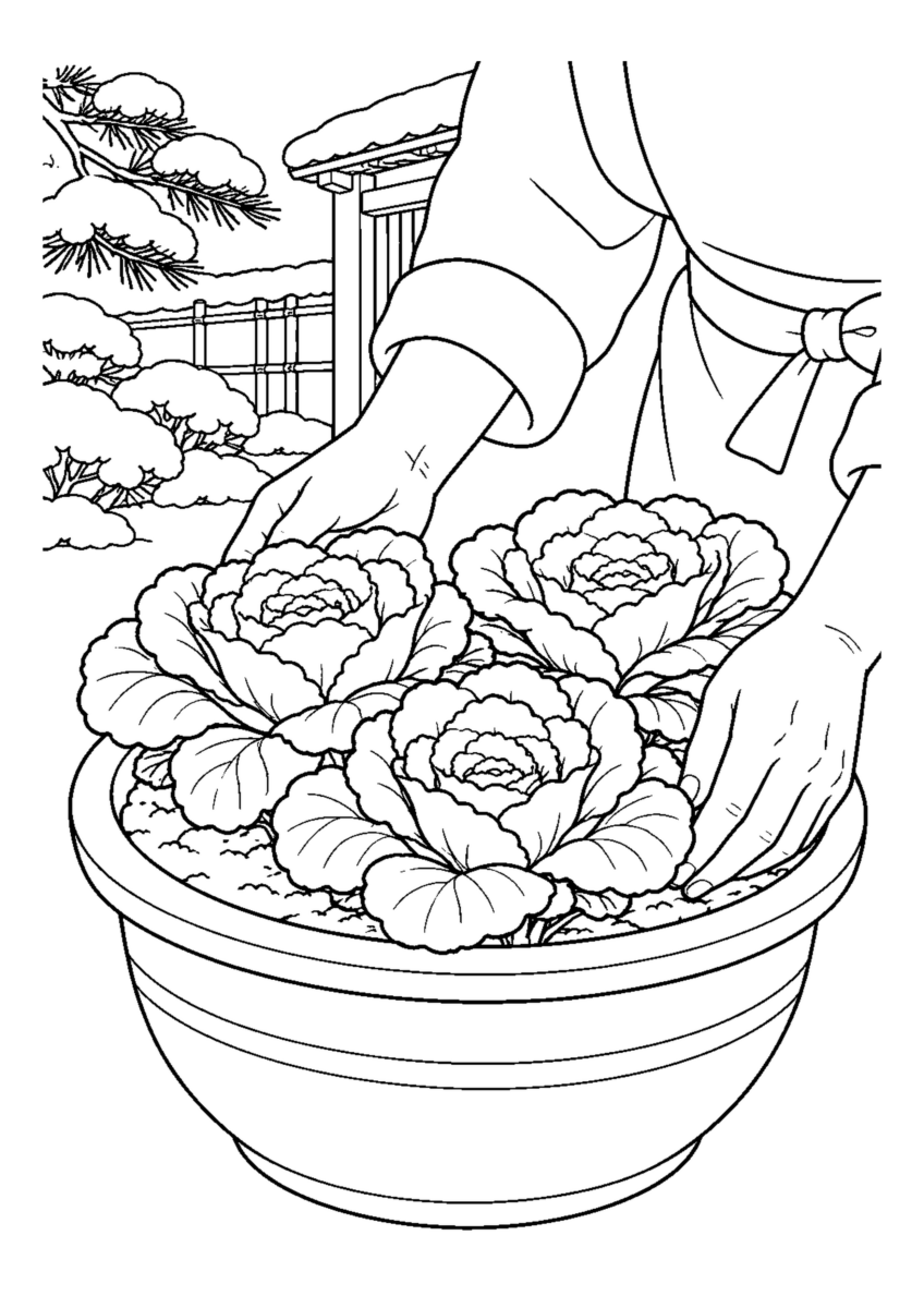 紅白の葉牡丹3株を丸い鉢へ植える手元。葉は広く簡略化。白黒の高齢者向け塗り絵
