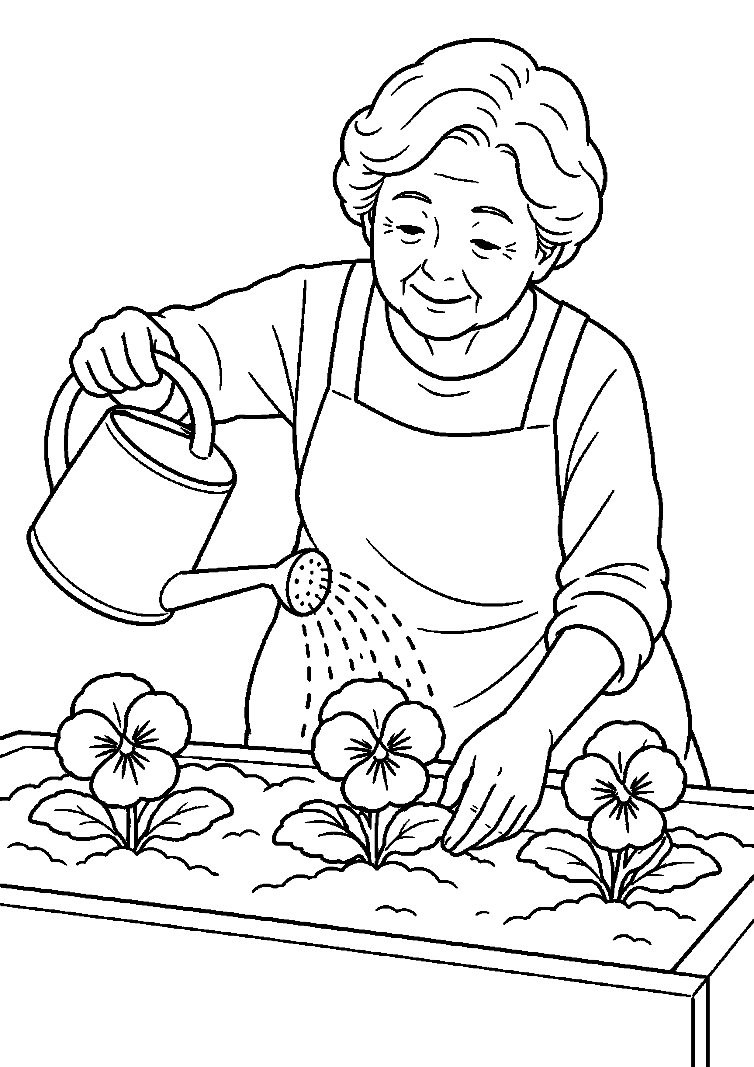 花壇にパンジー苗を植えじょうろで水をやる高齢者向けの白黒塗り絵