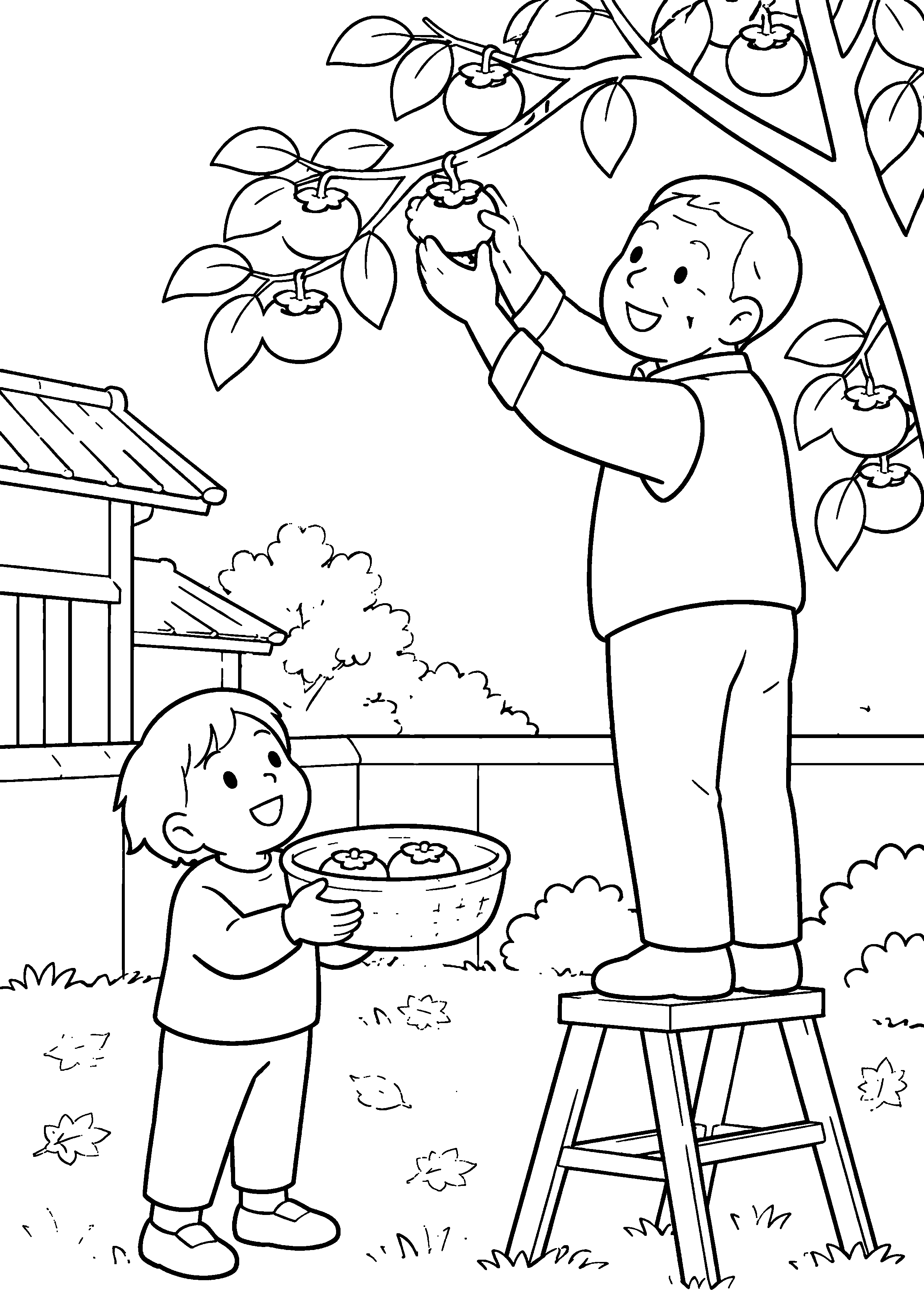 秋の庭で、父親が低い枝の柿を取り、子どもが下で籠を持って受け取っている様子を、太く見やすい黒線で描いた高齢者向け塗り絵