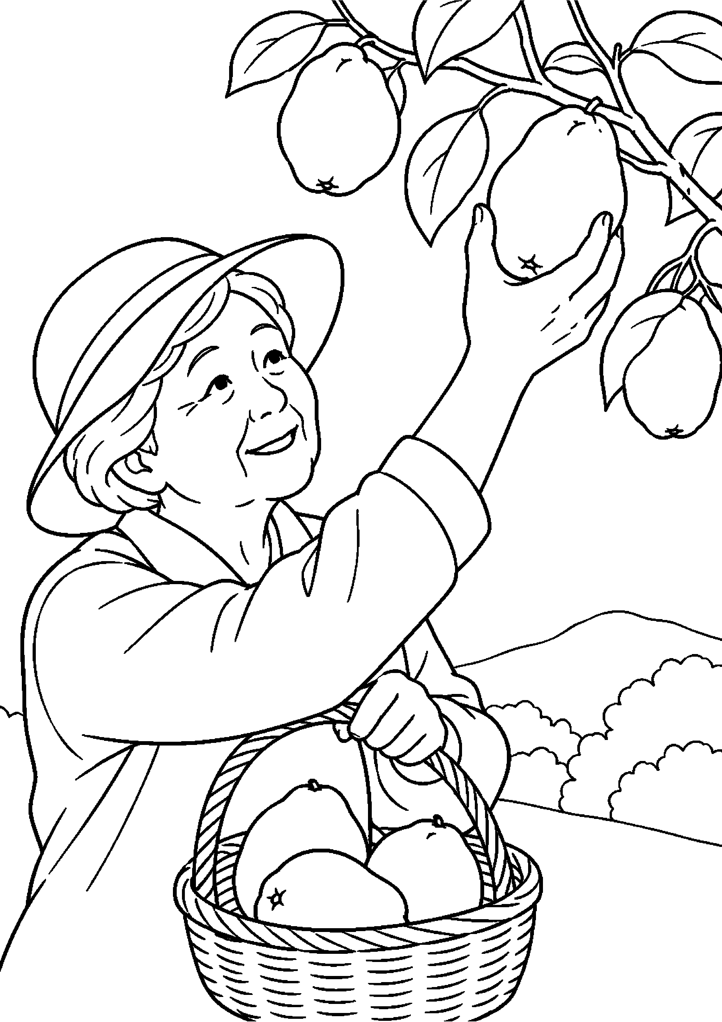 黄色いかりんの実を枝から採りかごに入れる高齢者向けの白黒塗り絵