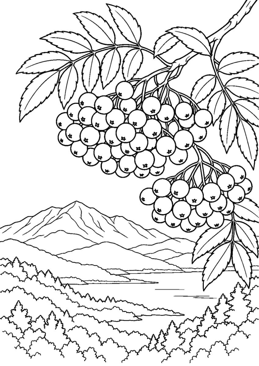 ナナカマドの赤い実を10月の場面として描いた高齢者向けの白黒線画塗り絵