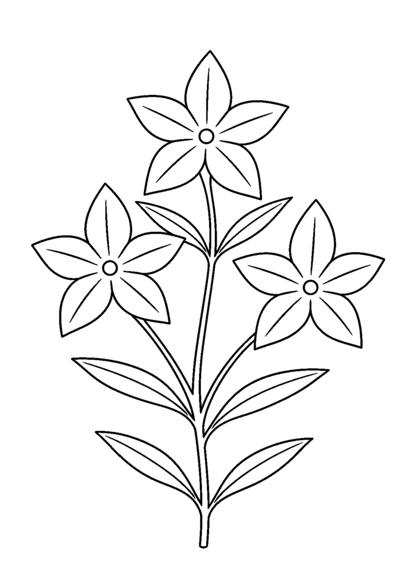 五枚の花びらが星形に開く三輪のセンブリと細長い葉を描いた白黒塗り絵