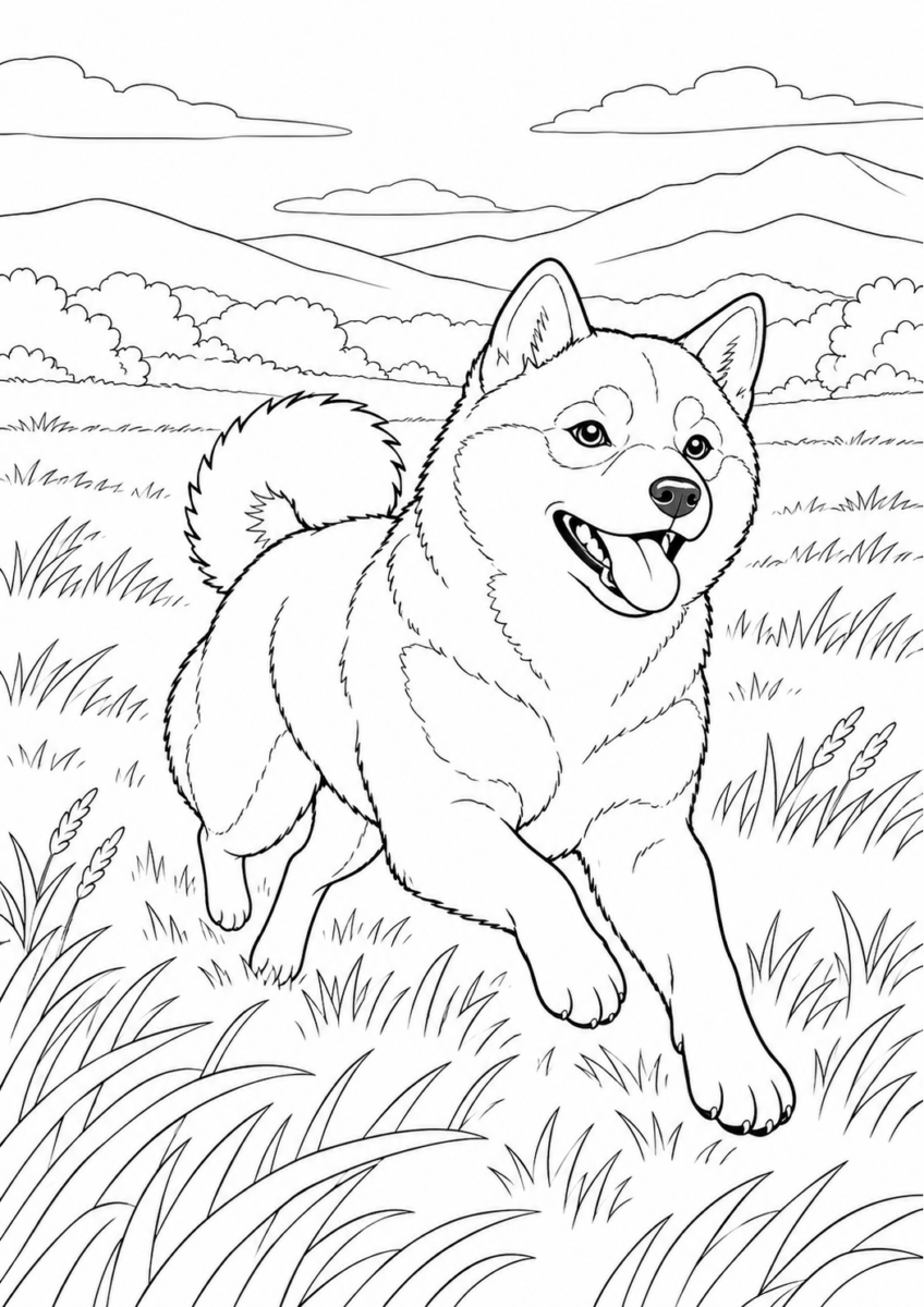 草原を走る柴犬を描いた高齢者向けの白黒線画塗り絵