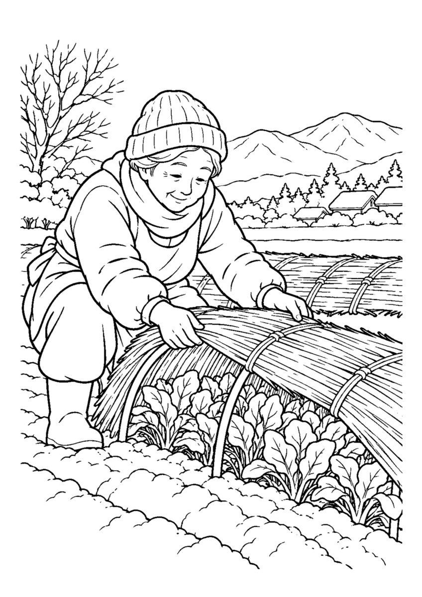 ほうれん草の畝へ低いわら覆いを掛ける手元。白黒の高齢者向け塗り絵