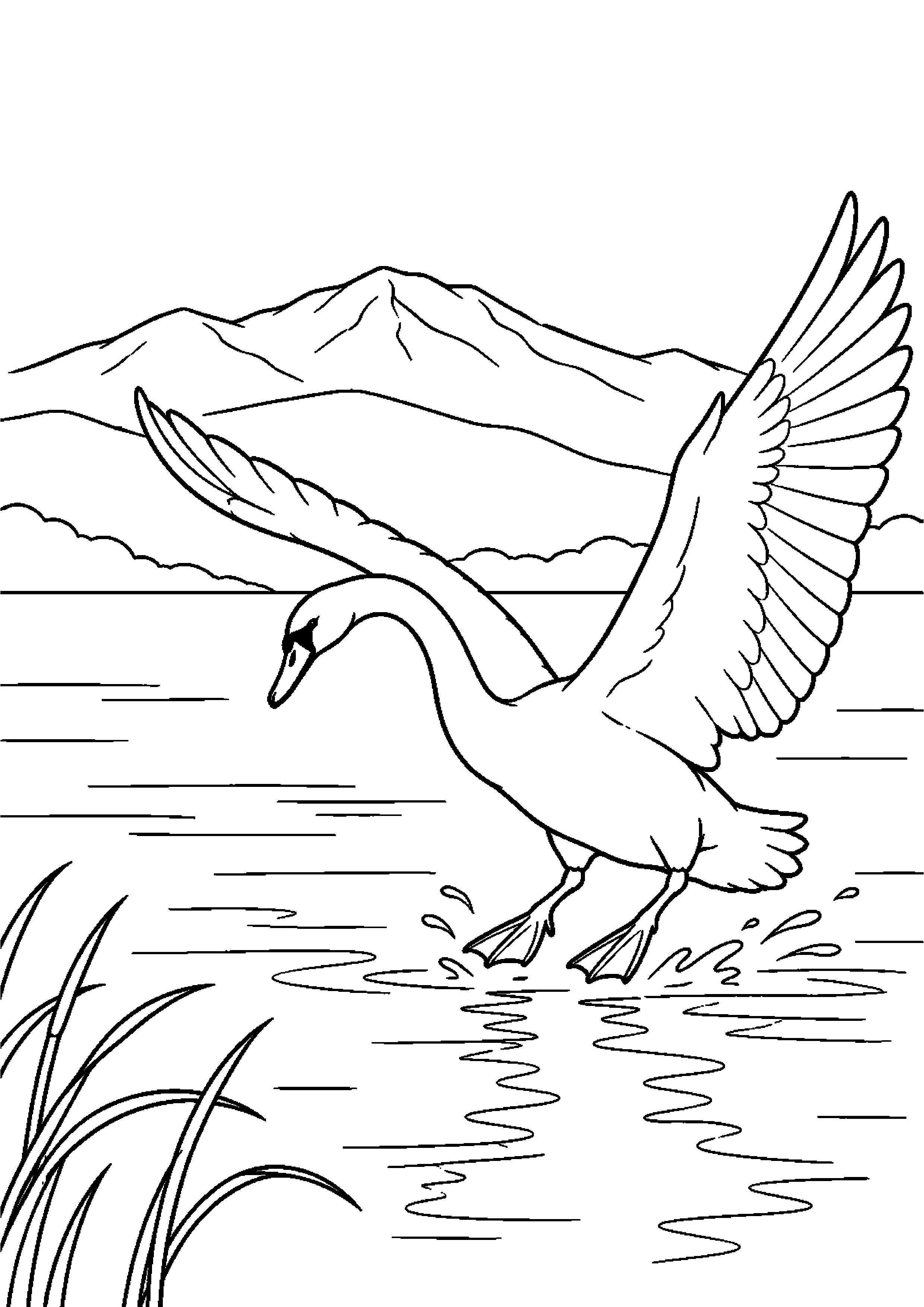 【11月】白鳥の飛来する湖の塗り絵