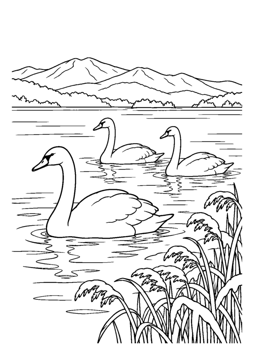 冬の湖に白鳥3羽が浮かび岸に枯れ葦。白黒の高齢者向け塗り絵