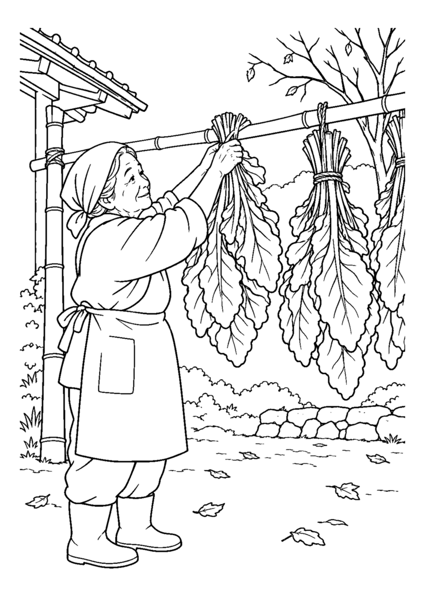大きな葉を束ねた高菜を横竿に掛ける場面、葉脈を少なく描く。白黒の高齢者向け塗り絵