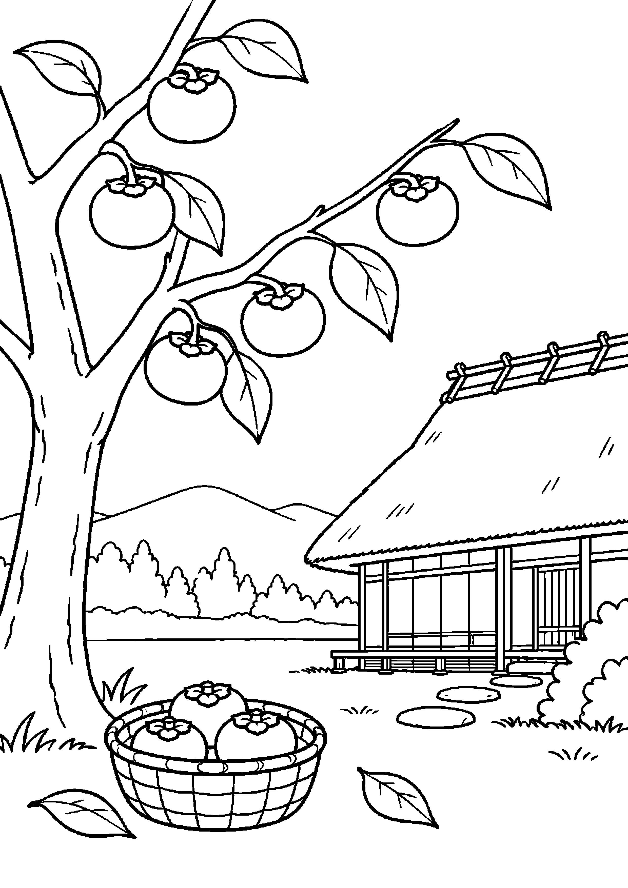 実の残る柿の木と茅葺き民家の庭先高齢者向けの白黒塗り絵