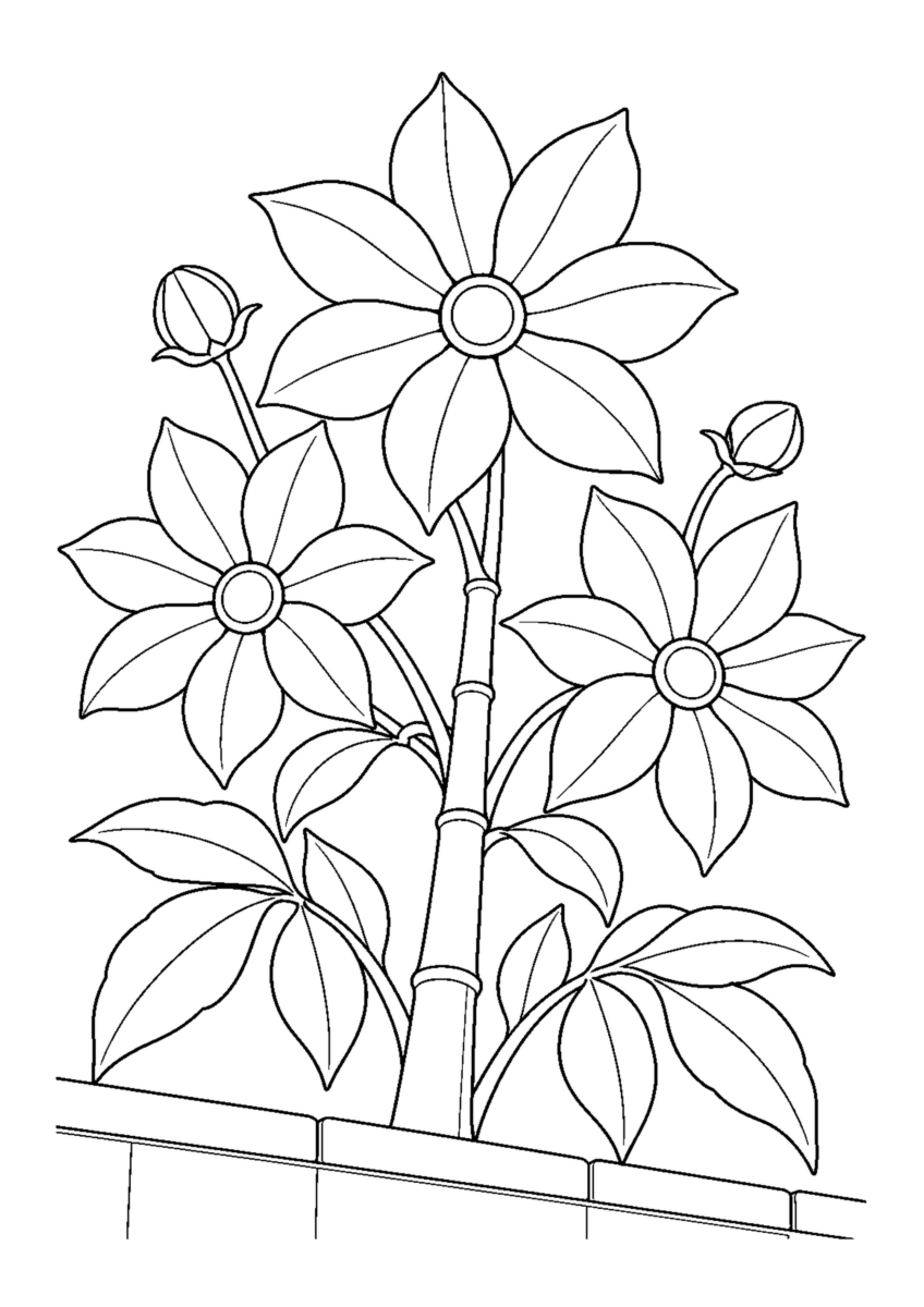 庭の塀より高く伸びた皇帝ダリアの三輪の花と二つのつぼみを描いた白黒塗り絵