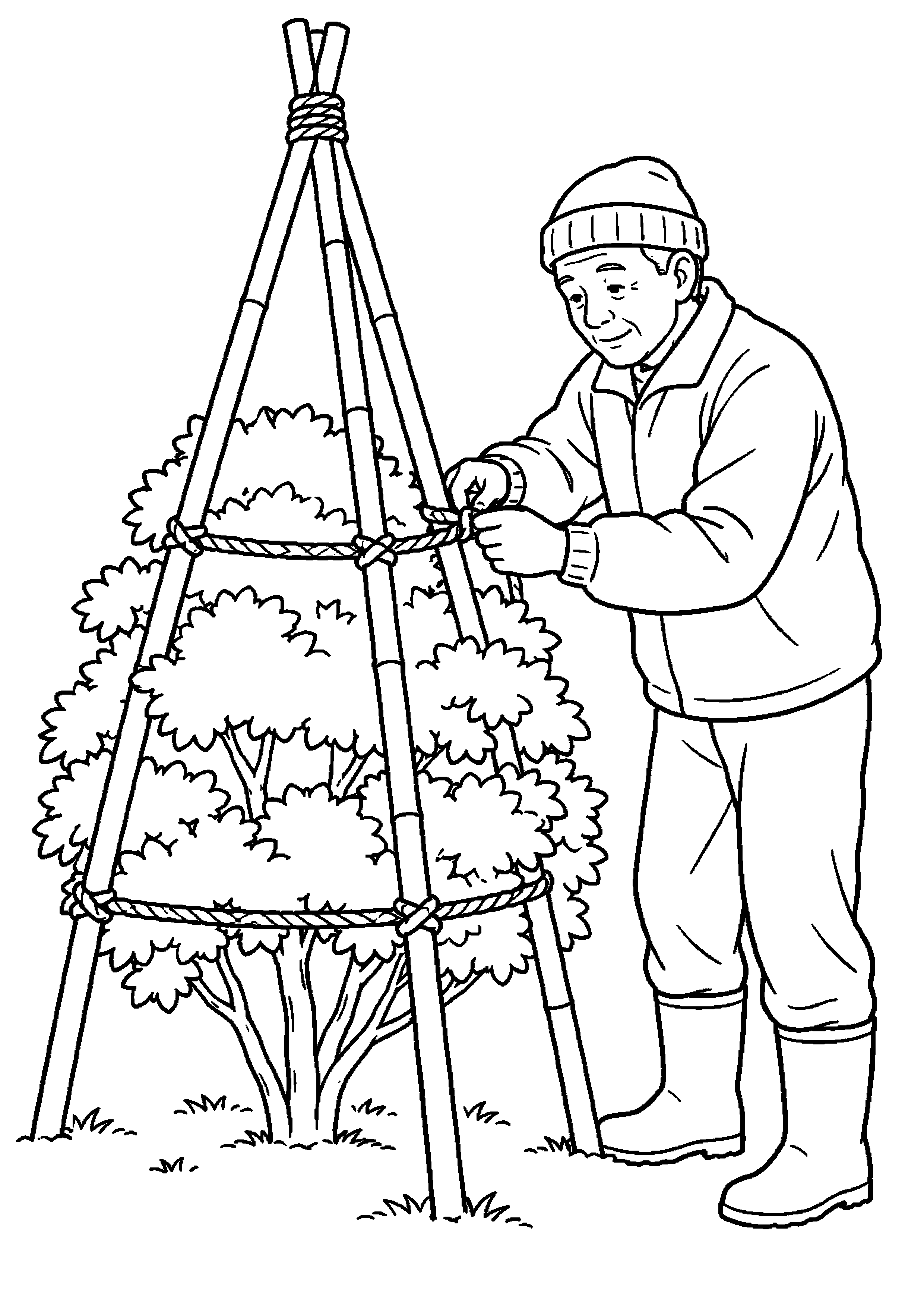 【１１月】庭木の冬囲いの塗り絵