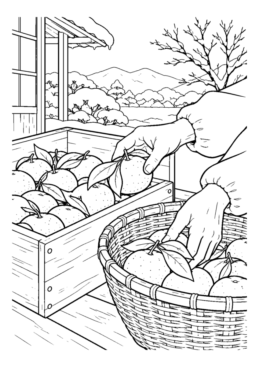 【１２月】みかんを箱から出すの塗り絵