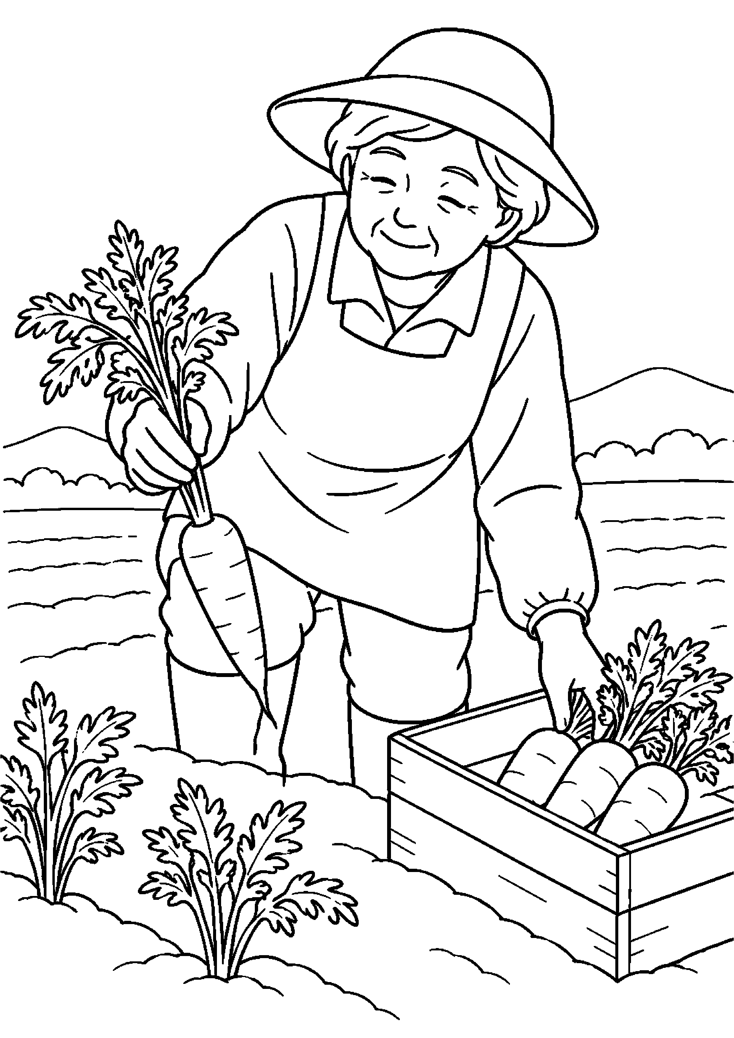 畑から葉付きにんじんを抜き木箱に並べる高齢者向けの白黒塗り絵