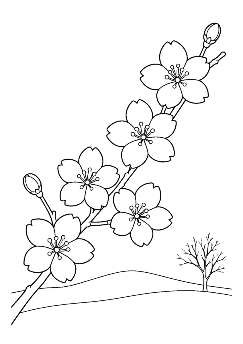 五輪の冬桜と二つのつぼみ、遠くの低い丘と落葉した木を描いた白黒塗り絵